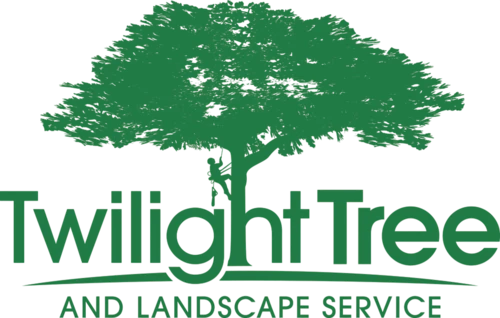Twilight Tree and Landscape Service